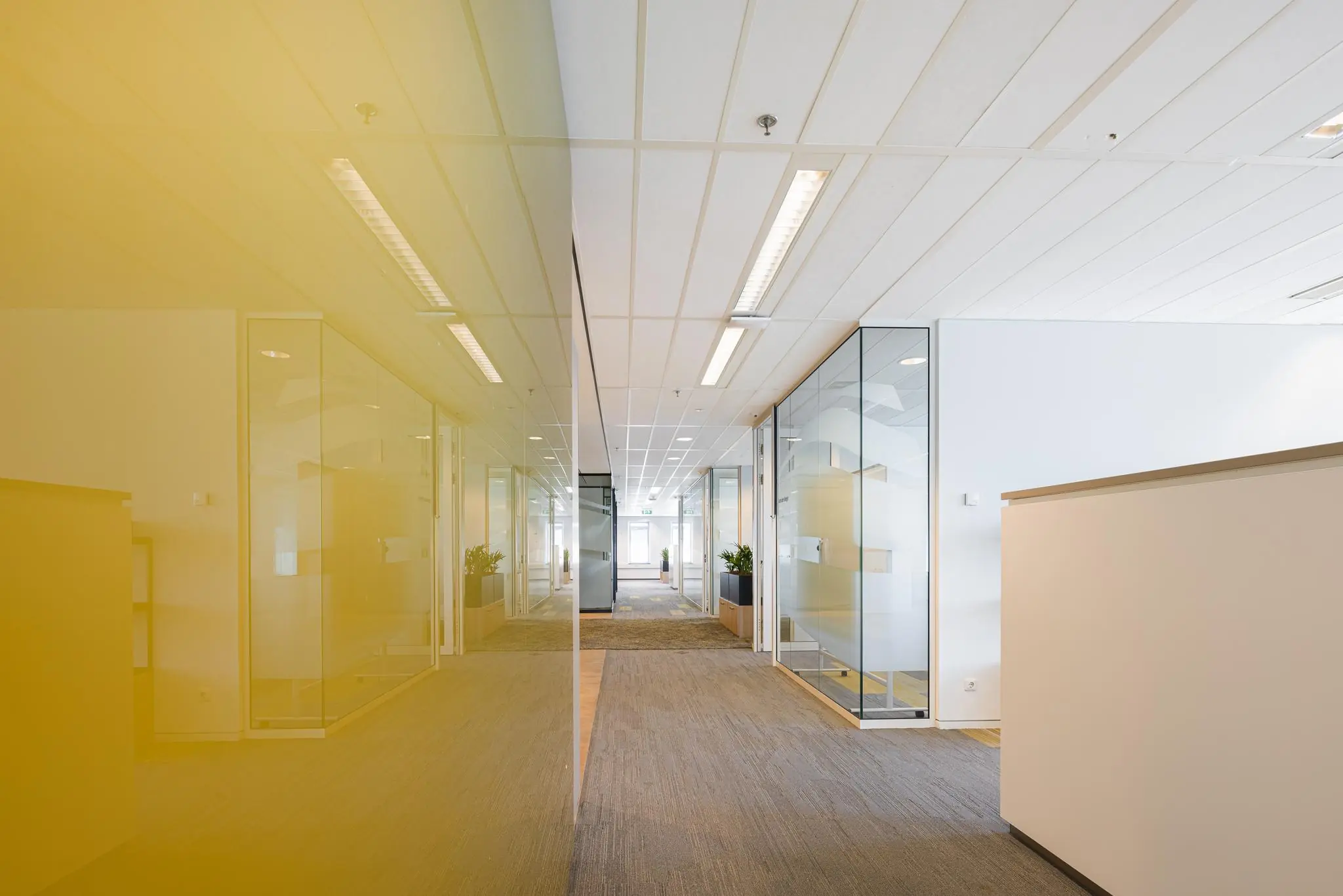 Modern kantoorinterieur aan de Prinses Beatrixlaan met glazen vergaderruimtes en een lichte, open gang.